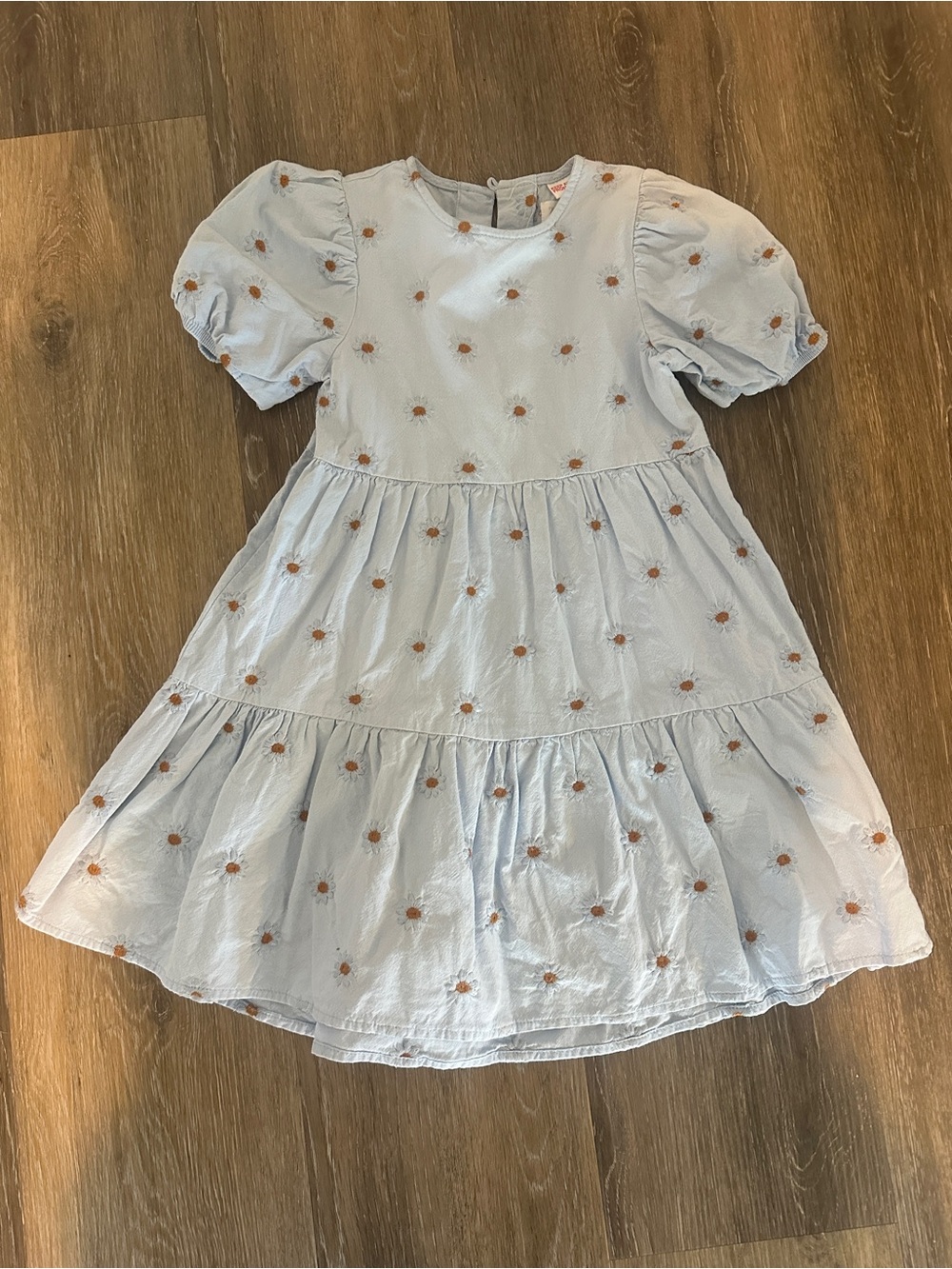 Zara Girls' Light Blue Daisy Embroidered Dress